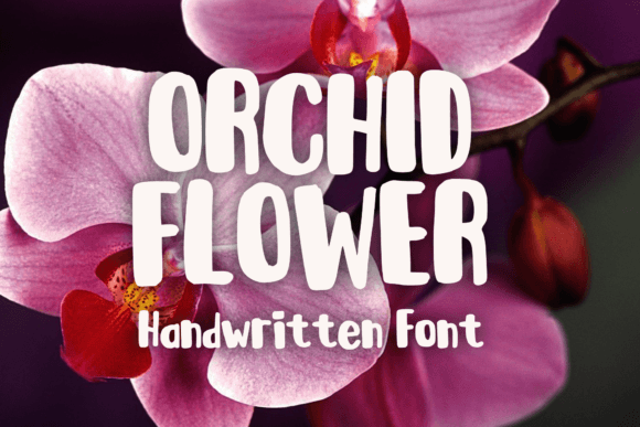 Orchid Flower Font for Business Branding