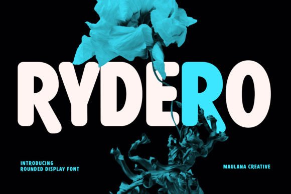 Testing Rydero for a Modern Web Design Project