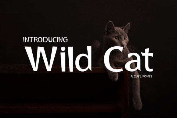 Wild Cat Font for Handmade Creations